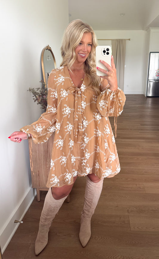 Willow Embroidered Dress